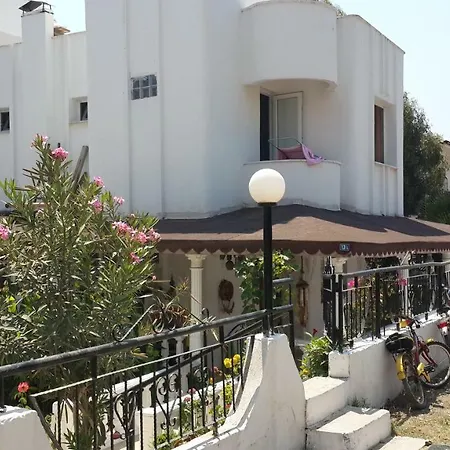 Villa Yok